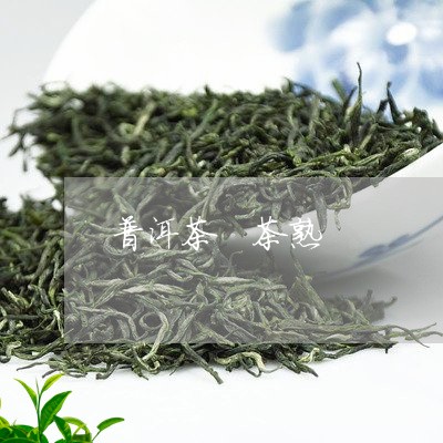 普洱茶 茶熟/2023042835793